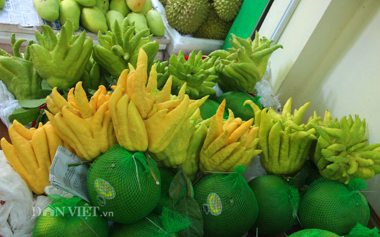 Can canh phat thu tram nghin dat hang ram thang 7-Hinh-9