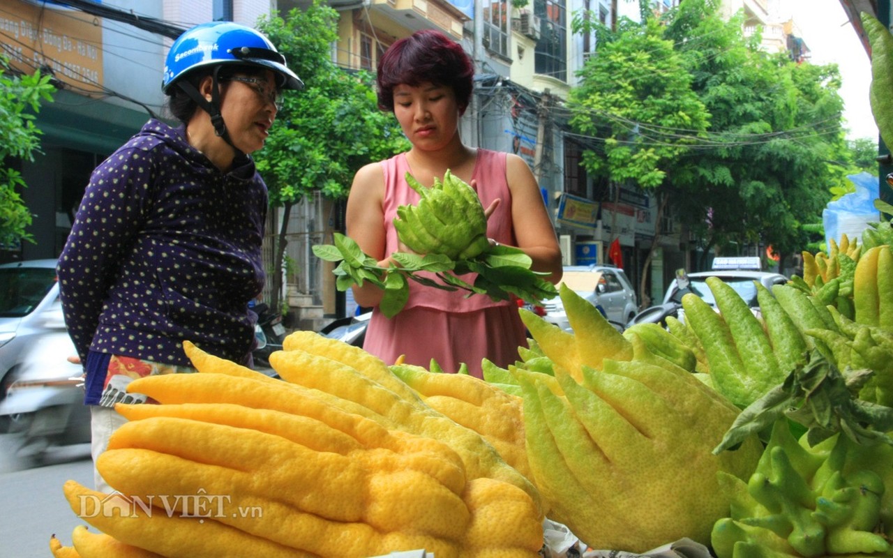 Can canh phat thu tram nghin dat hang ram thang 7-Hinh-2