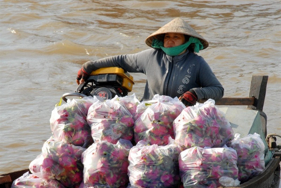 Ngam cho noi ngay Tet o mien Tay-Hinh-10