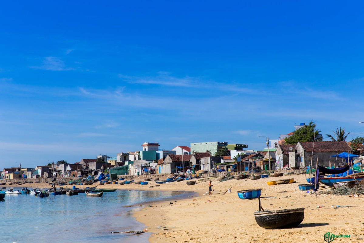 Anh: Ban tinh ca cua bien tren hai xa dao tuyet dep o Quy Nhon-Hinh-11