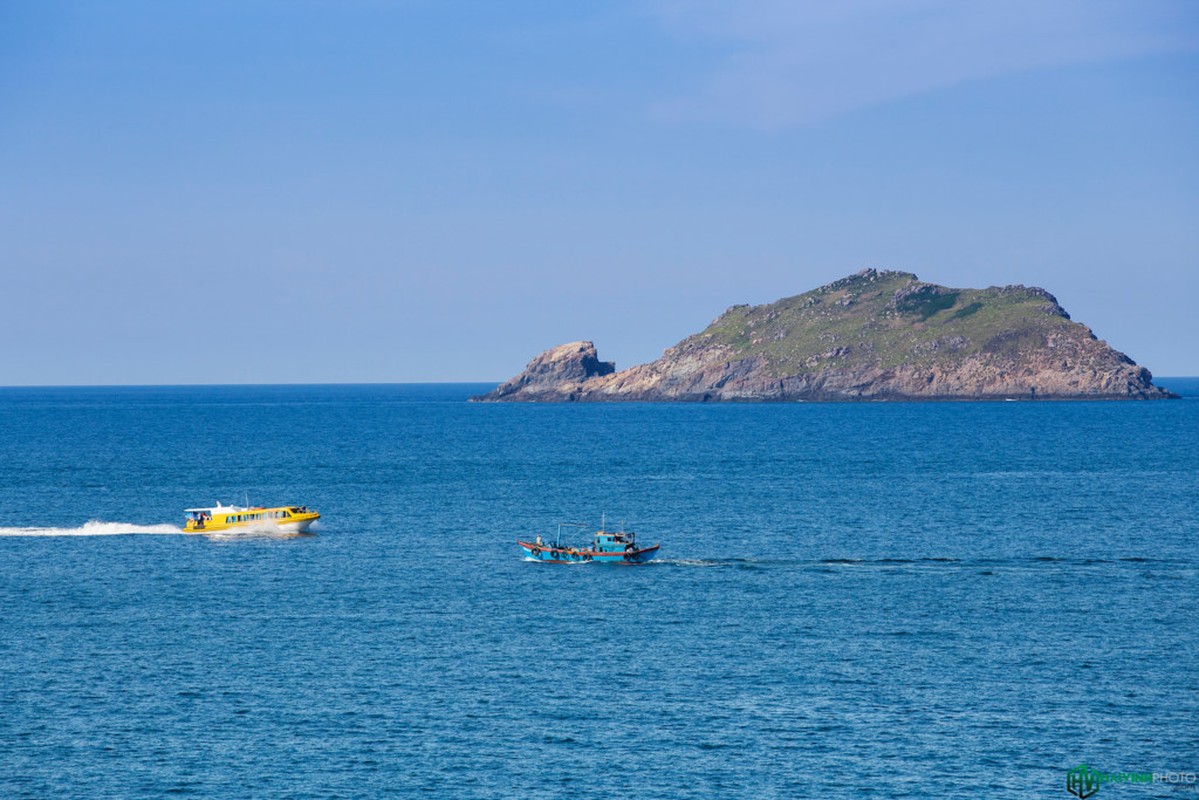 Anh: Ban tinh ca cua bien tren hai xa dao tuyet dep o Quy Nhon-Hinh-6