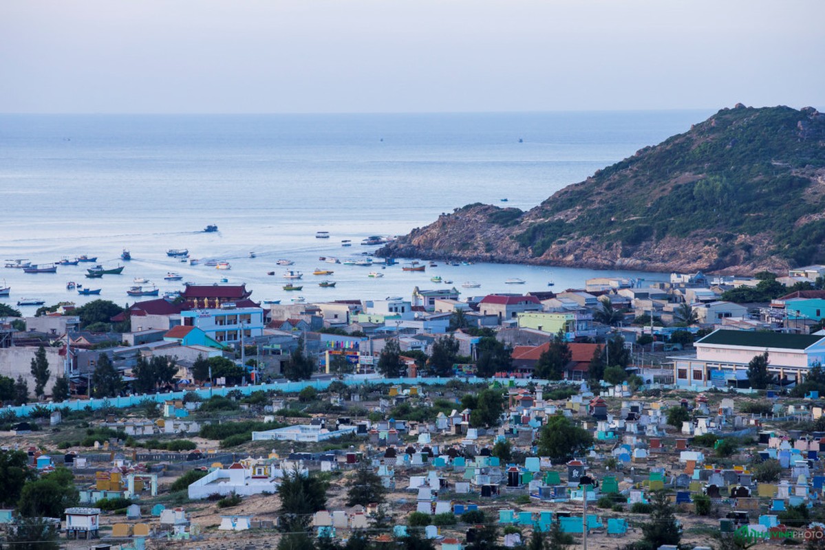 Anh: Ban tinh ca cua bien tren hai xa dao tuyet dep o Quy Nhon-Hinh-7