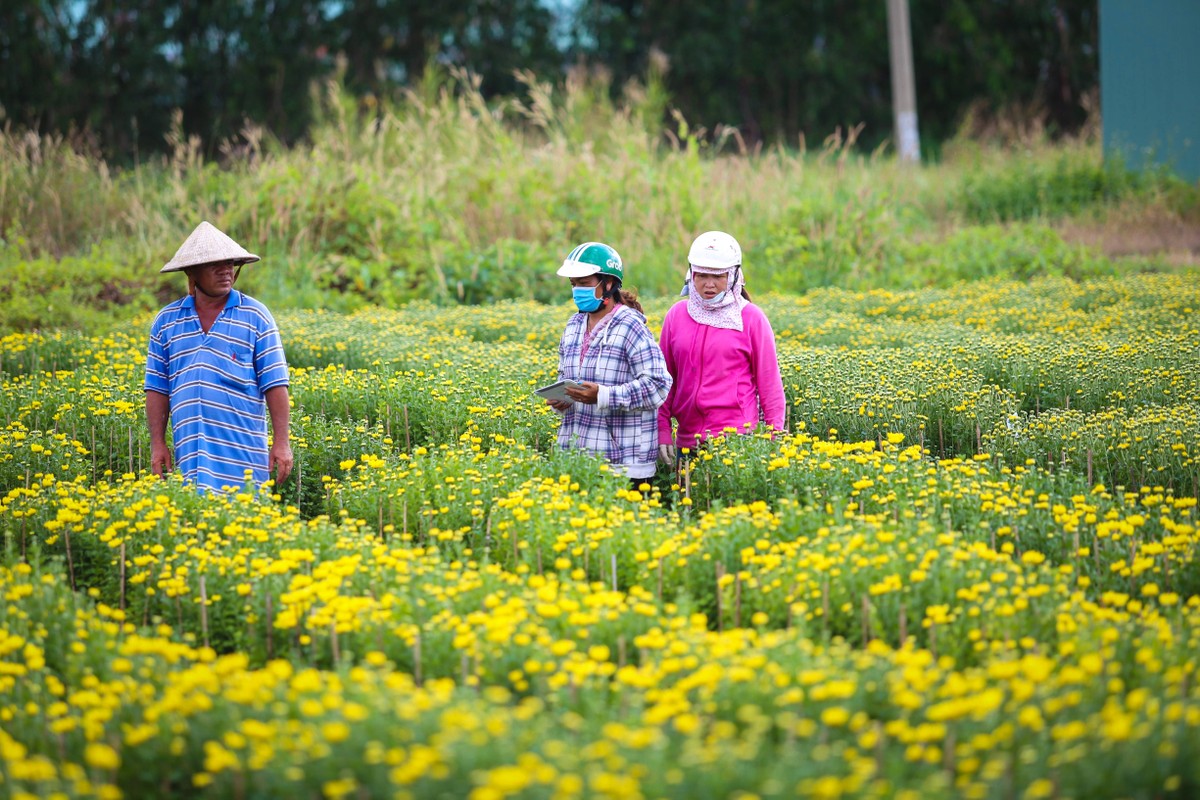 Lang hoa Sai Gon tat bat nhung ngay giap Tet Canh Ty 2020-Hinh-14