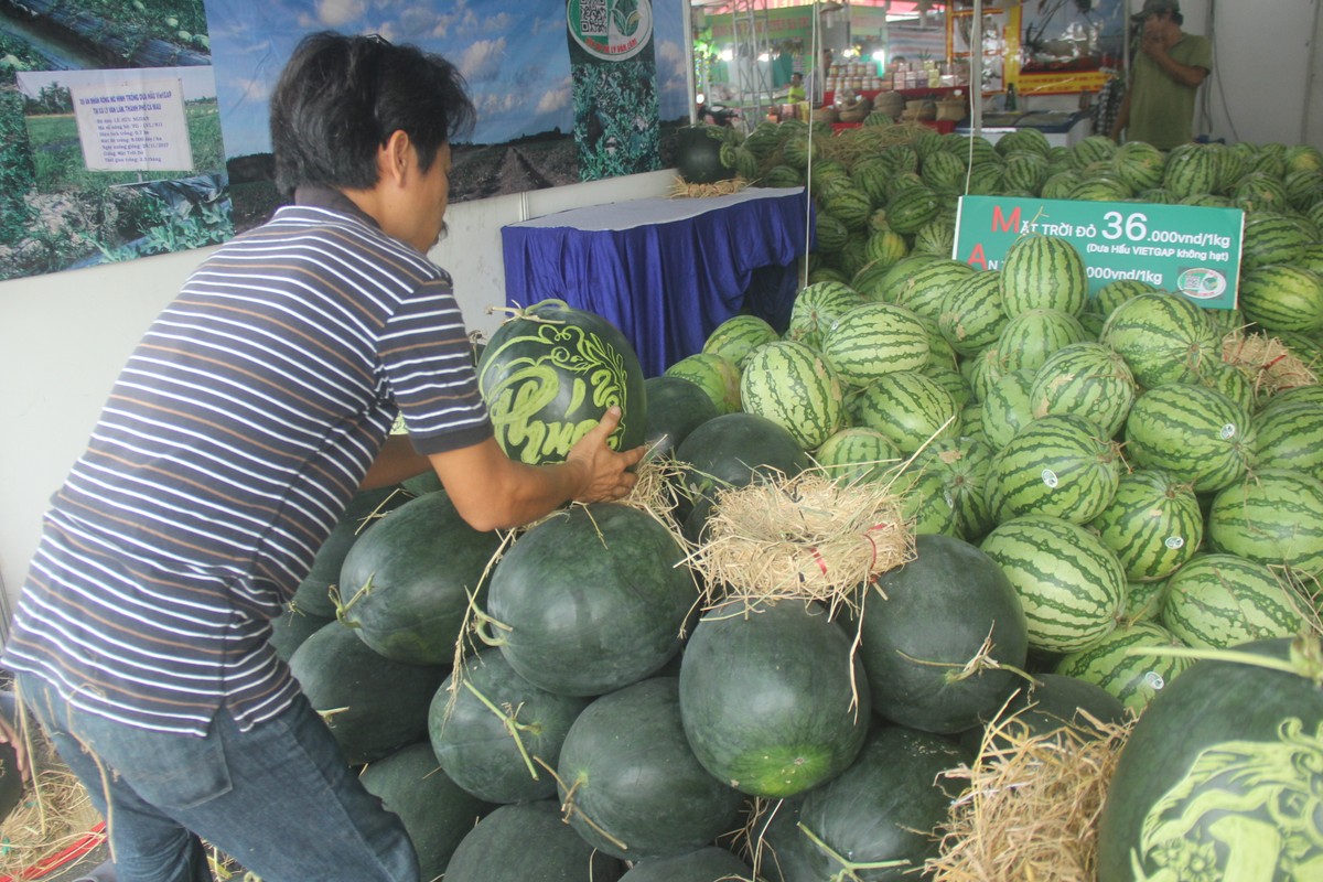 Dua hau 'sieu to khong lo' khac thu phap ban tien trieu moi cap-Hinh-2