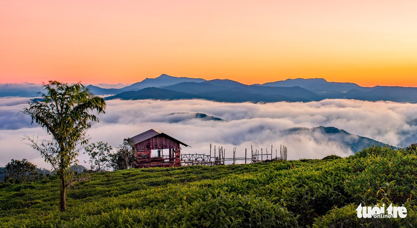 Da Lat mo mang trong 'mua nang lanh' dep nhat nam-Hinh-12