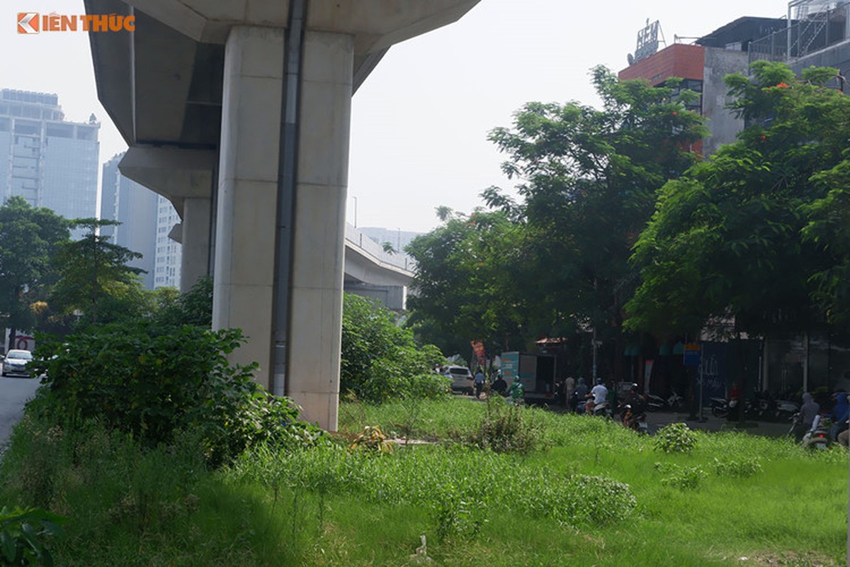 Ngan ngam du an duong sat tren cao, dan de xuat trong hoa cho do lang phi-Hinh-13