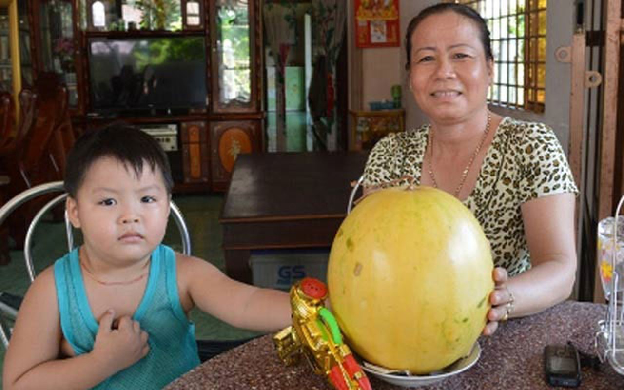 Tan muc nhũng quả dua hau de ca nam khong hong-Hinh-12