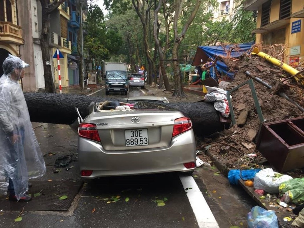 Duong pho Ha Noi bien thanh 