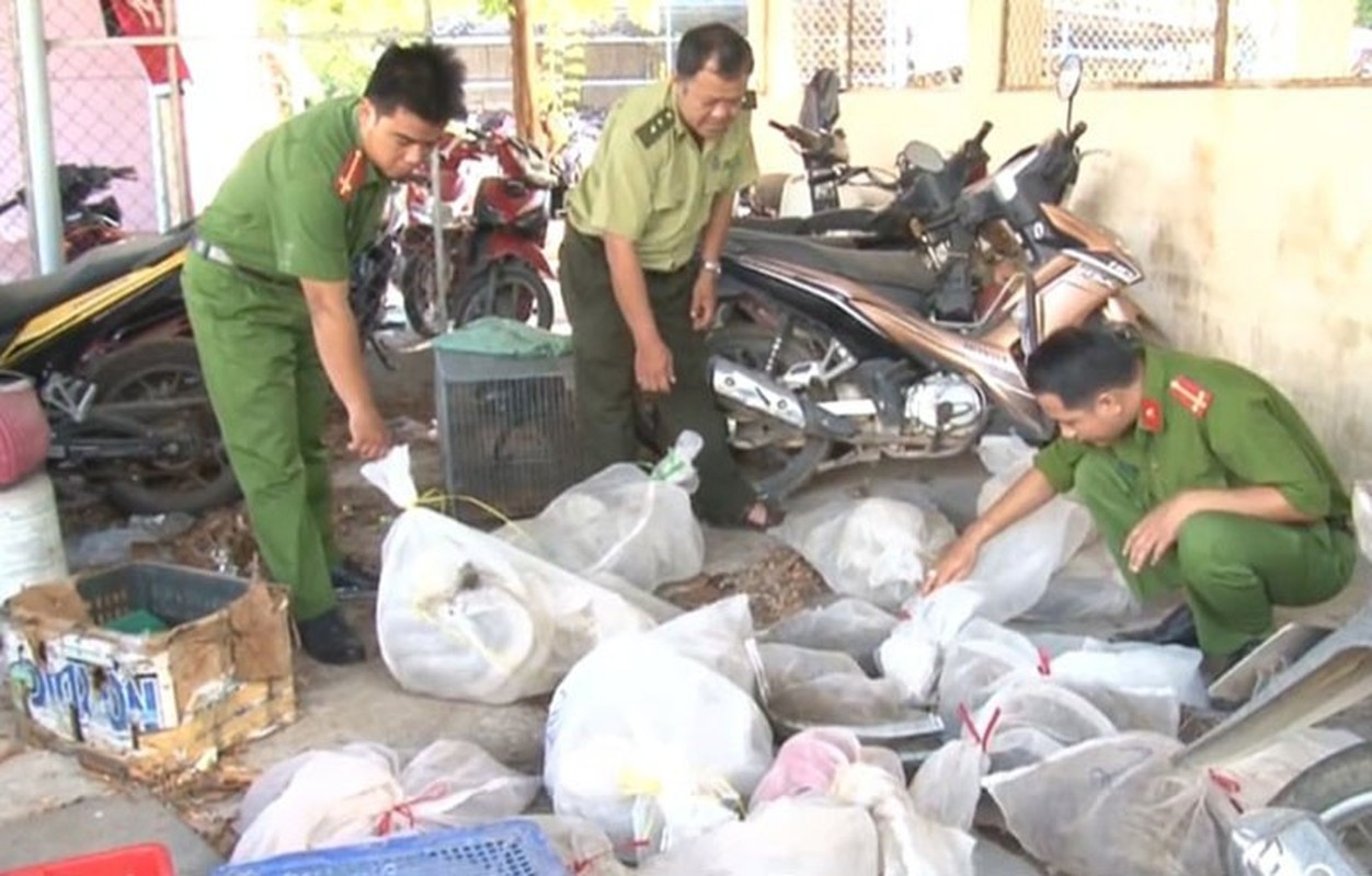 Tin nong ngay 11/10: Nho nguoi yeu cu xach sung den nha ban hai phat-Hinh-7