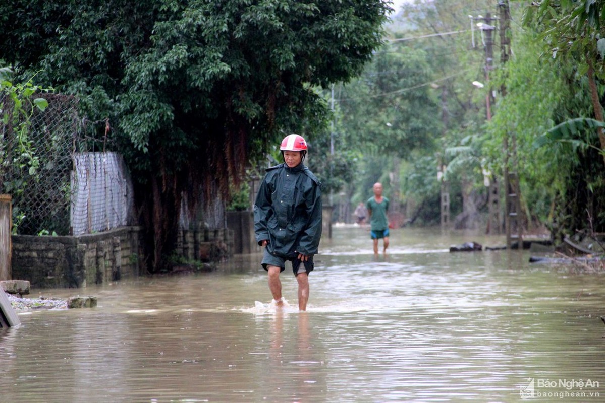 Hinh anh mien Trung ngap lut ngay 20/10: Quang Tri nuoc rut, Nghe An co lap-Hinh-10