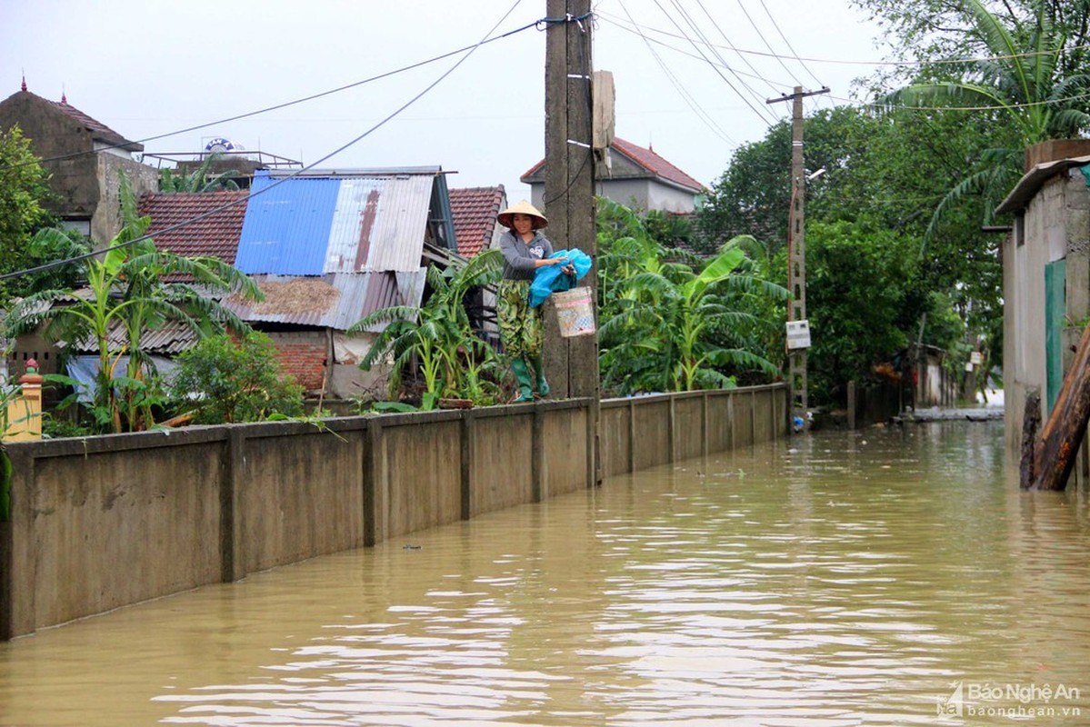 Hinh anh mien Trung ngap lut ngay 20/10: Quang Tri nuoc rut, Nghe An co lap-Hinh-11