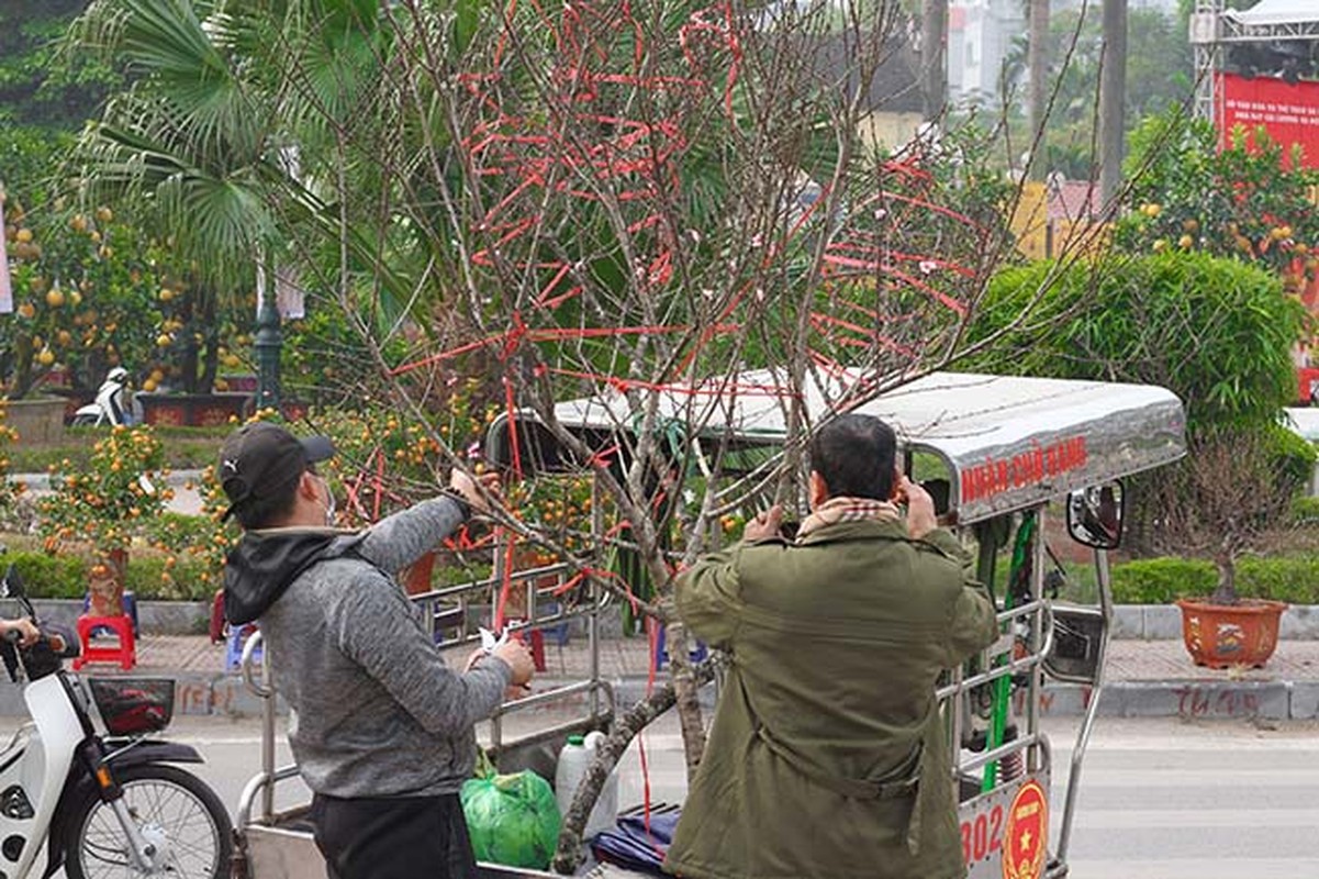 Lo dao dan tem dau tien xuong Ha Noi phuc vu Tet Nguyen dan-Hinh-2