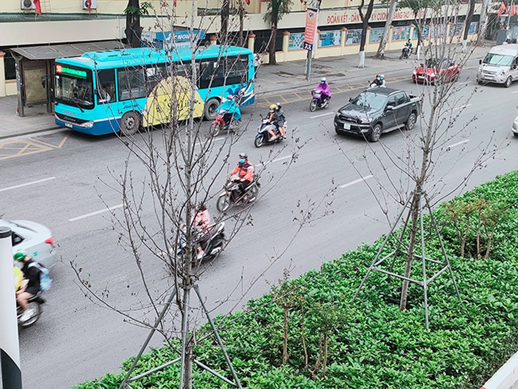 Hang phong la do kho heo, xac xo tren duong Tran Duy Hung - Ha Noi-Hinh-3