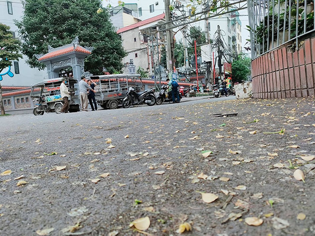 Vi sao nguoi dan Ha Noi xon xao truoc cay hoa bun tram nam tuoi?-Hinh-6