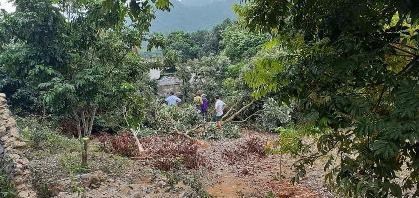 Hien truong vu xe tai mat lai, huc thung nha dan-Hinh-5