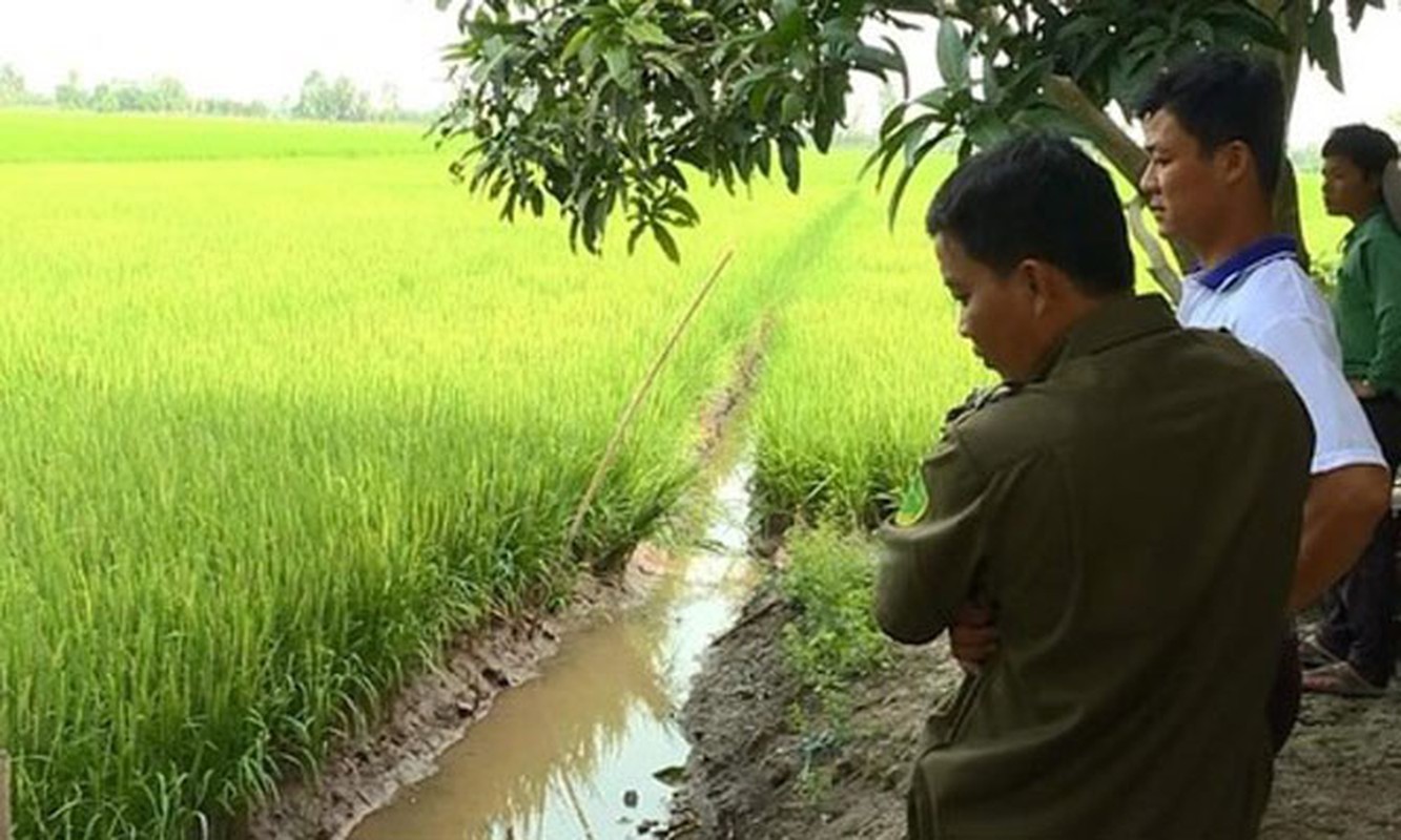 Tin nong ngay 20/4: Giao vien vao nha nghi voi hoc sinh-Hinh-5