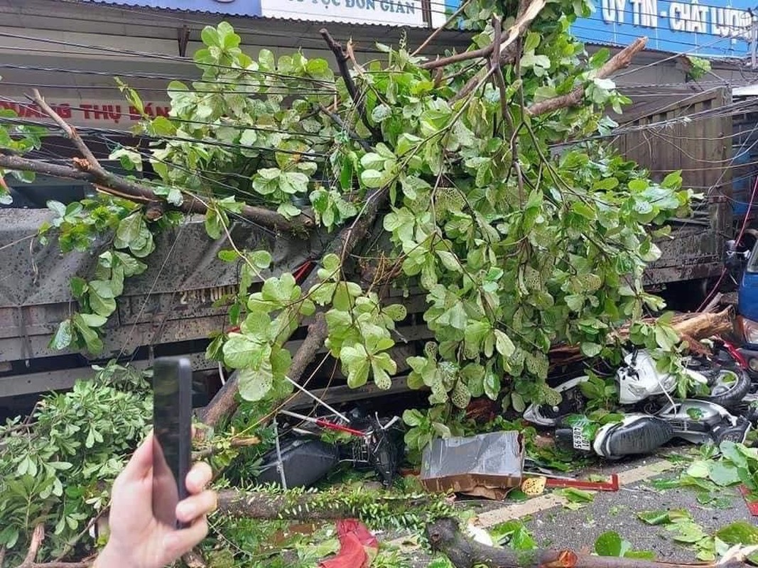 Tai xe container danh lai cuu 2 nguoi, tong vao nhieu nha dan noi gi?-Hinh-8