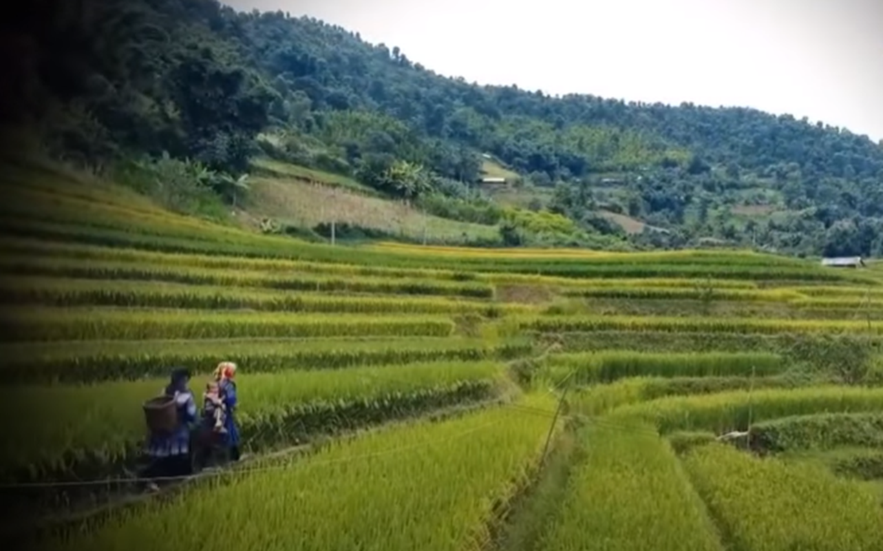 Phia sau ban an: Be gai bi bong den duoi gam giuong cuong buc, sat hai