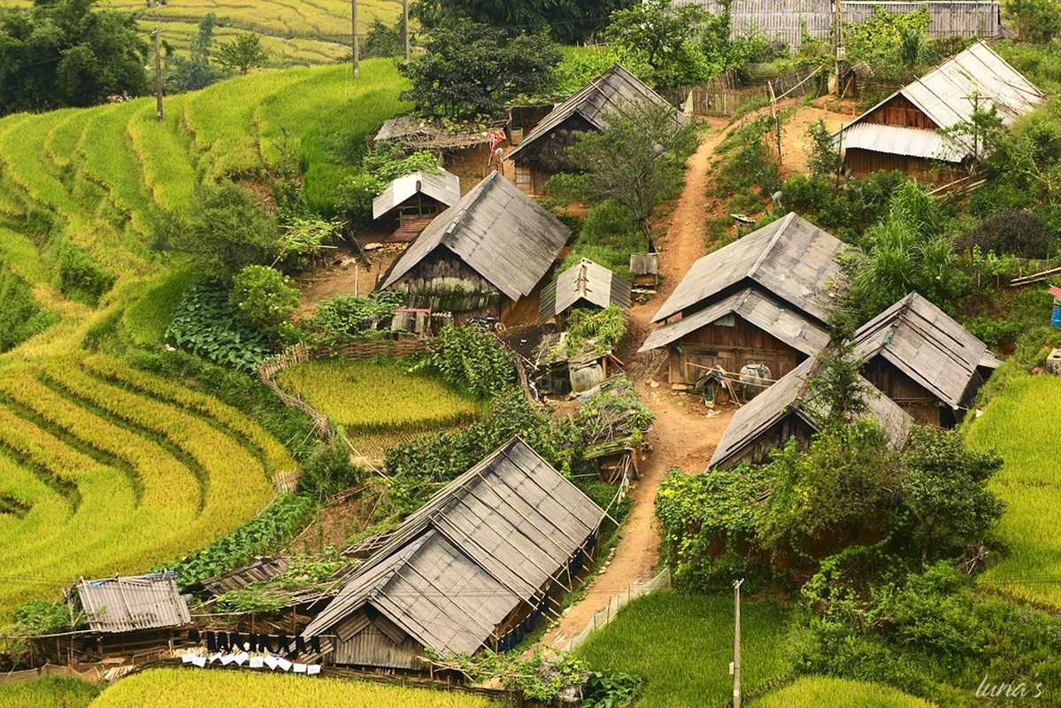 Hanh trinh pha an: Kinh hai be gai bi cuong buc, vui xac trong ho cao su-Hinh-2