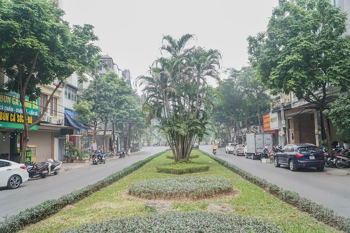 Ngam tuyen pho mang ten 2 nghe si tai hoa Xuan Quynh, Luu Quang Vu-Hinh-6