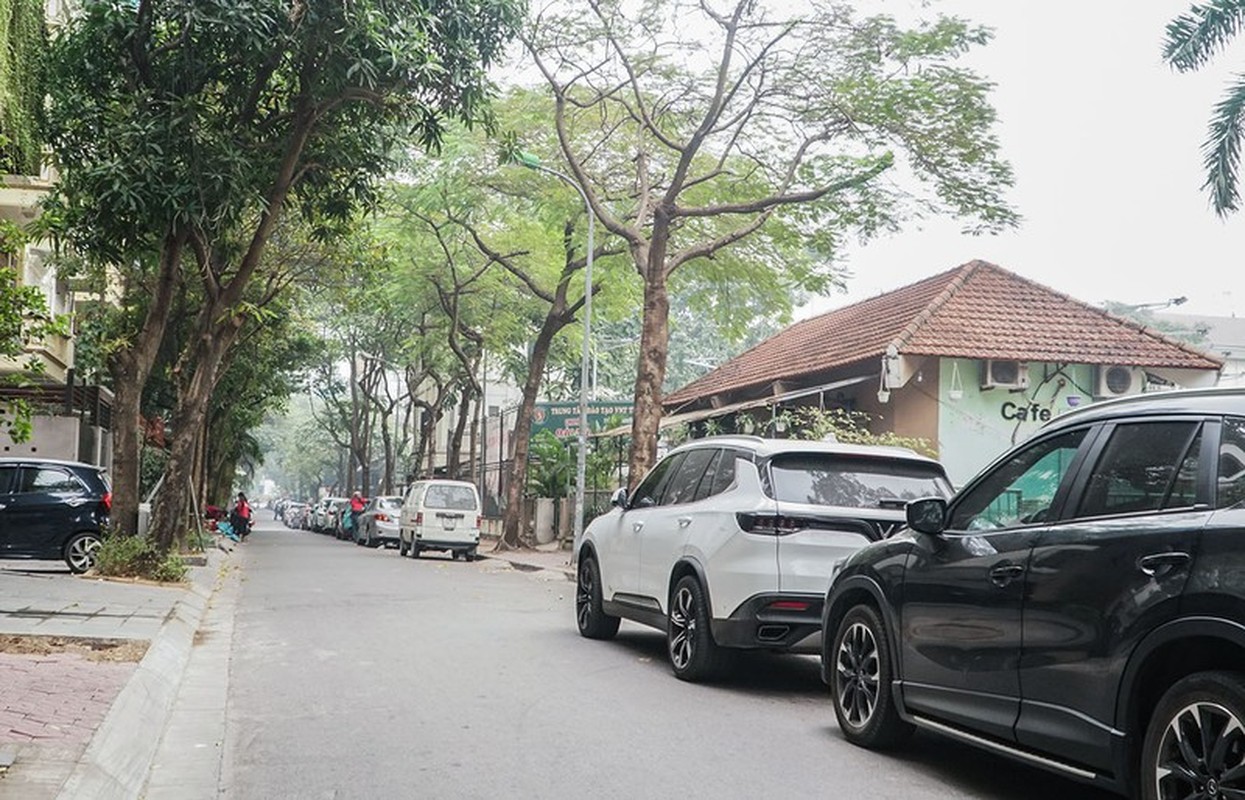 Ngam tuyen pho mang ten 2 nghe si tai hoa Xuan Quynh, Luu Quang Vu-Hinh-8