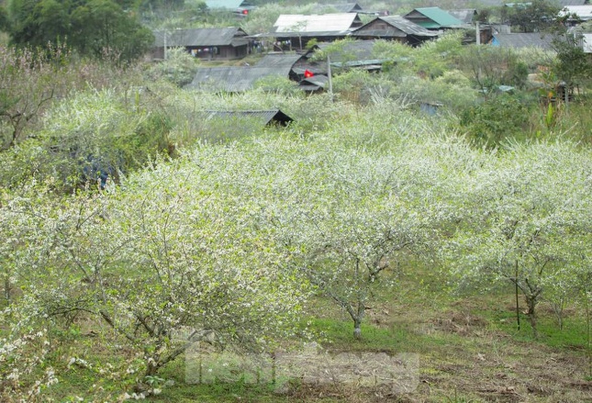 Thieu nu khoe sac ben thien duong hoa man trang xu Nghe dep nhu tranh