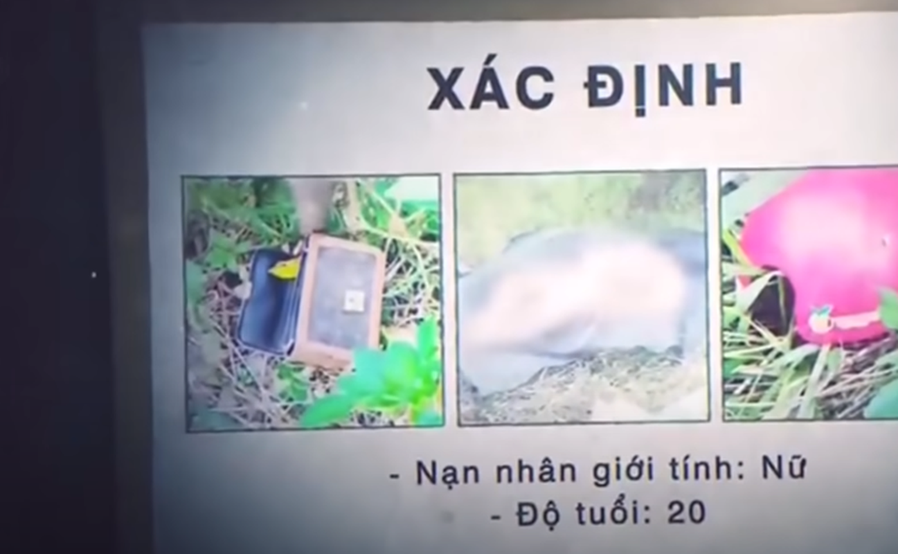 Hanh trinh pha an: Bi an xac co gai loa the bi bao cat de len-Hinh-3