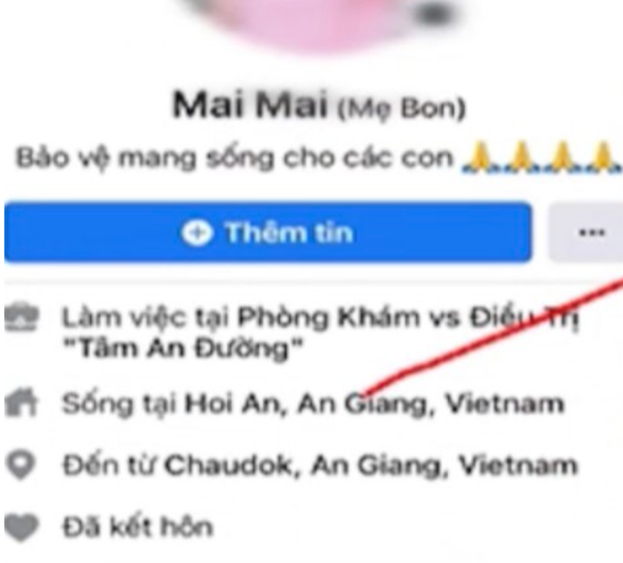 Hanh trinh pha an: Co gai dung hinh anh hai nhi de lua dao tren Facebook-Hinh-2