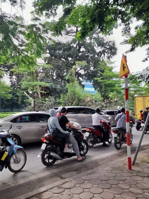 Ha Noi: Cay da co thu gay canh chan ngang duong, giao thong un tac-Hinh-5