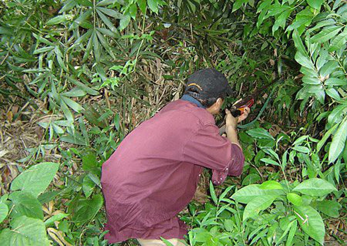 Giet anh ho de cuop vo, ron nguoi ke hoach tan doc-Hinh-5