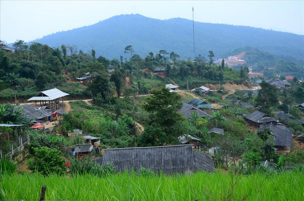 Ke hoach tan doc ke sat nhan giau xac phu nu ben bo suoi-Hinh-6