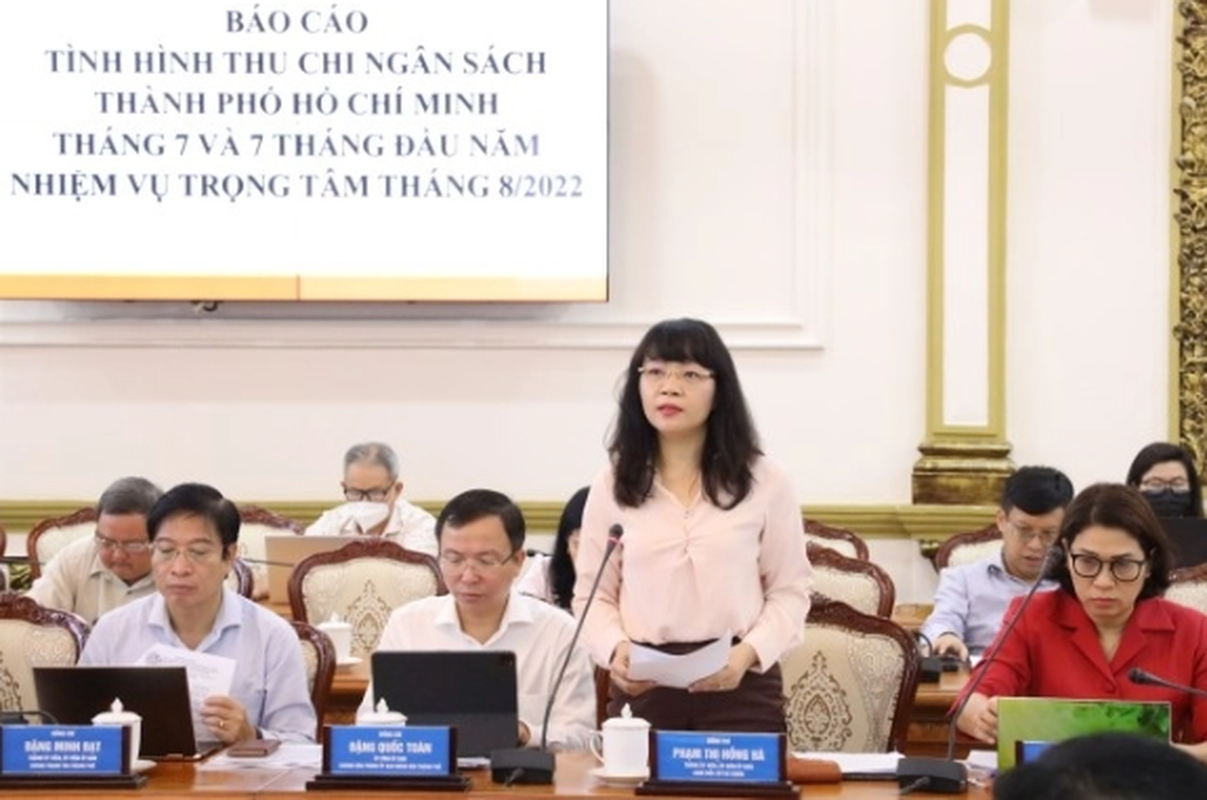 Chan dung tan nu Pho Truong Ban Noi chinh Thanh uy TP HCM-Hinh-8