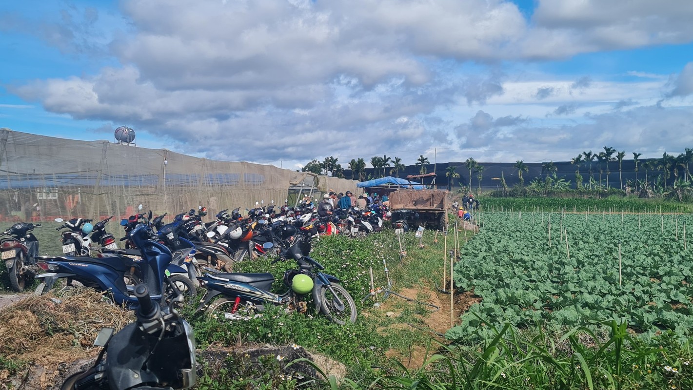 Toi ac cua ga chong tan doc tu mau thuan ban phan bo-Hinh-5