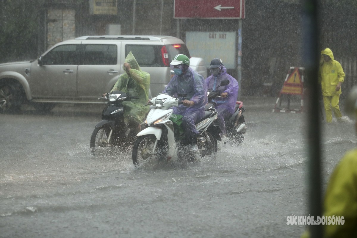 Mua lon trut xuong hang gio, nhieu tuyen pho Ha Noi ngap nang-Hinh-7