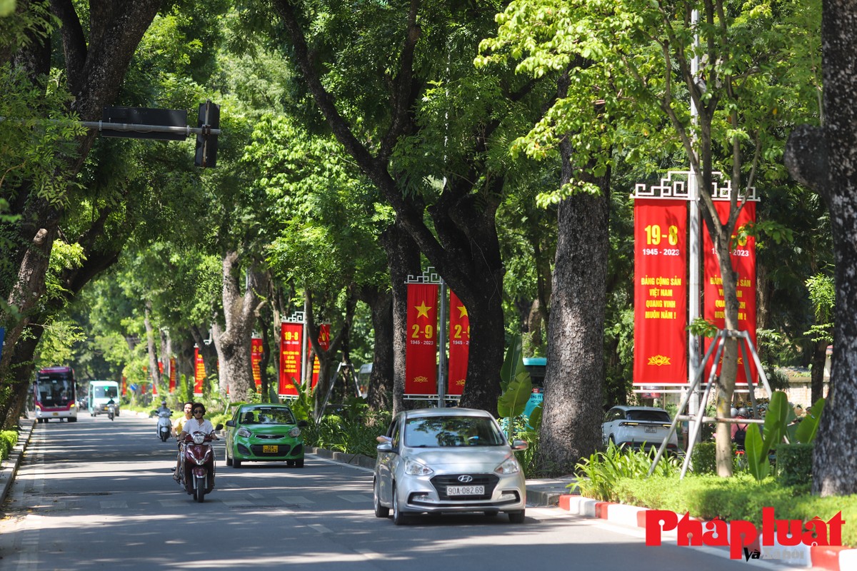 Duong pho Ha Noi ruc ro co hoa chao mung Le Quoc khanh 2/9-Hinh-12