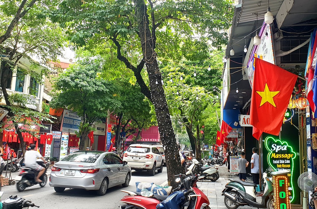 Duong pho Ha Noi ruc ro co hoa chao mung Le Quoc khanh 2/9-Hinh-6