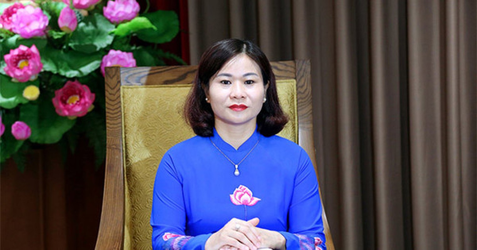 Chan dung ba Nguyen Thi Tuyen duoc phan cong dieu hanh Thanh uy Ha Noi-Hinh-4