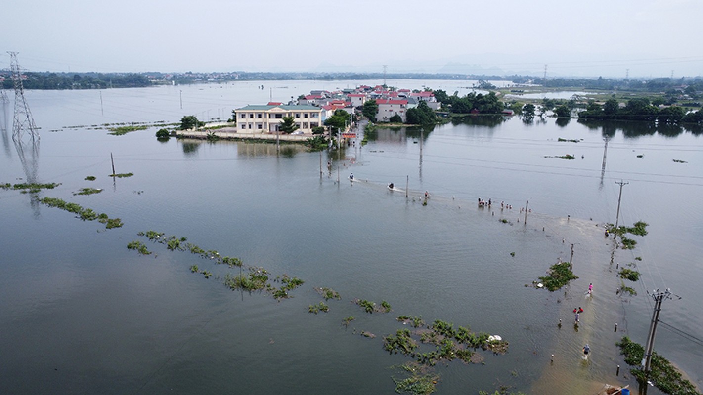 Mua lu trien mien, duong hoa thanh song o vung “ron lu” Ha Noi-Hinh-2