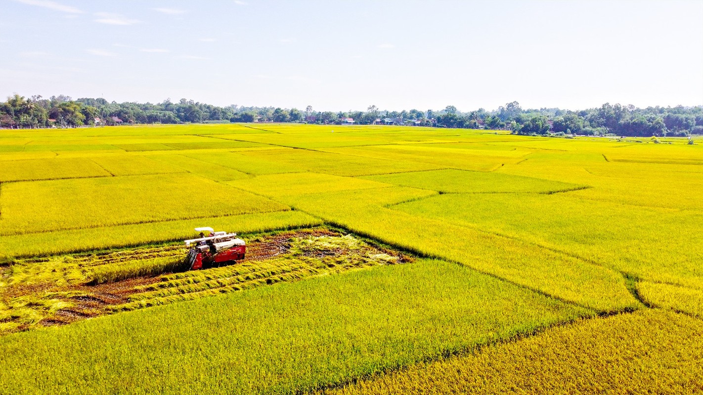 Thiet bi bay khong nguoi lai giua canh dong va bi mat trong trang trai-Hinh-4