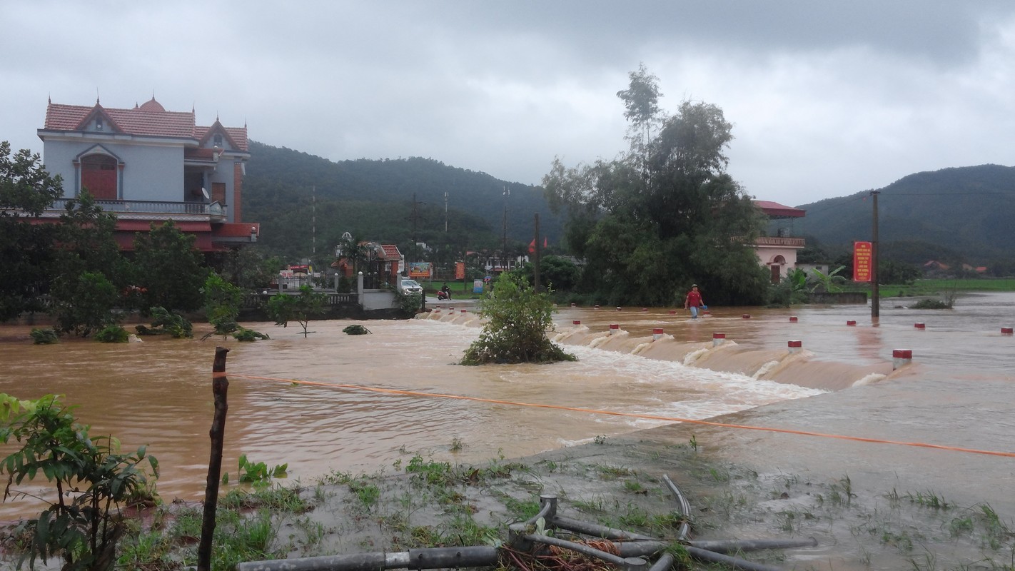 Canh Uong Bi, Quang Ninh chim trong nuoc lu-Hinh-10