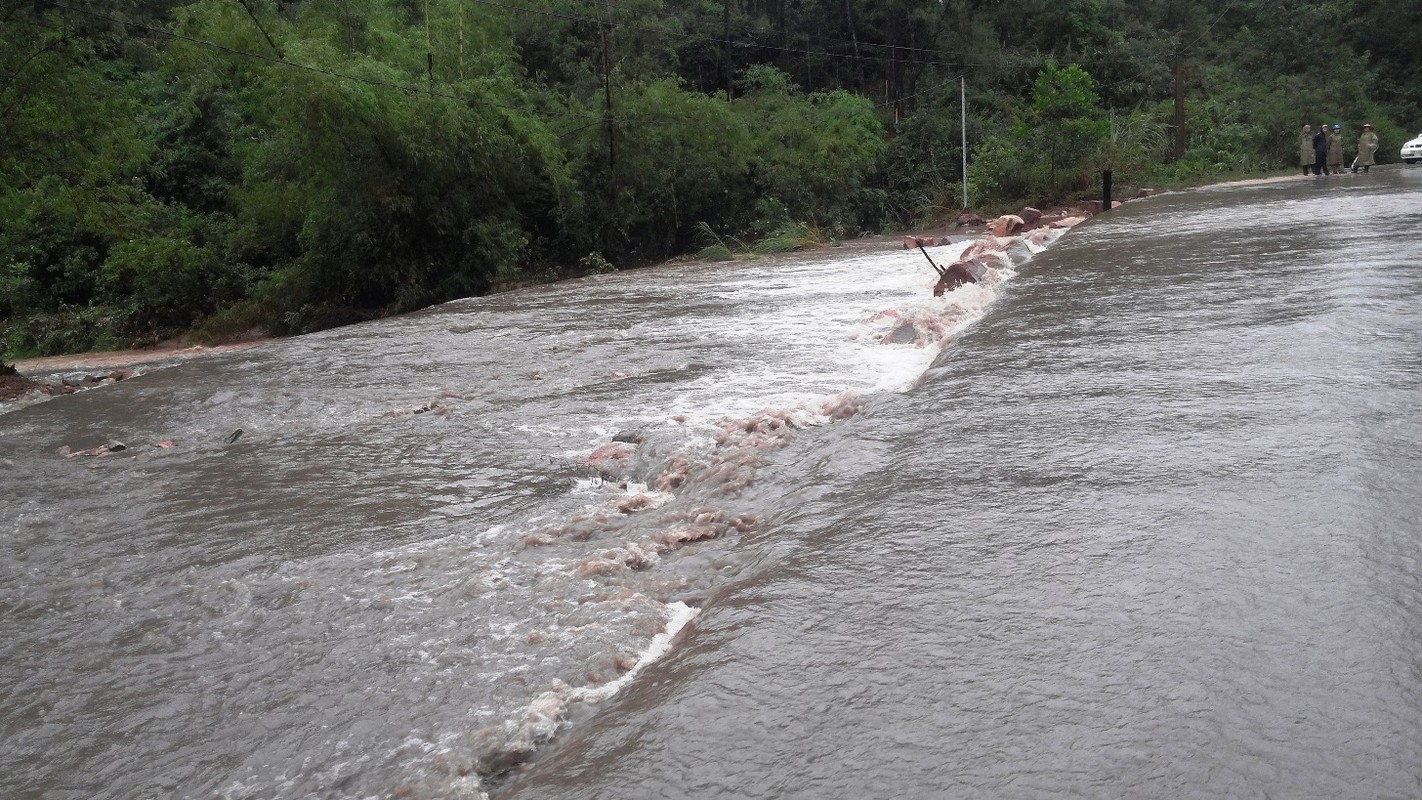 Canh Uong Bi, Quang Ninh chim trong nuoc lu-Hinh-7