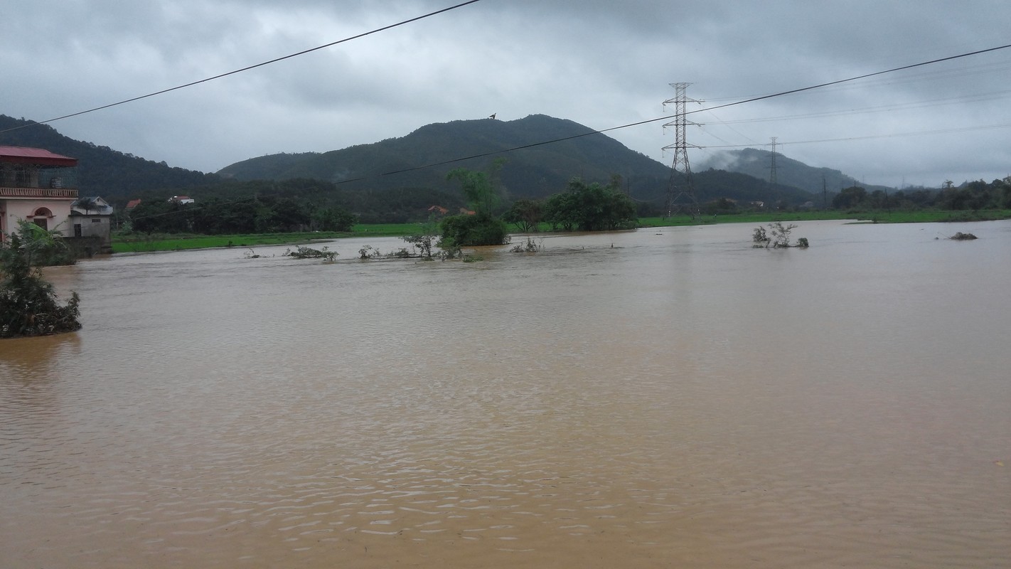 Canh Uong Bi, Quang Ninh chim trong nuoc lu-Hinh-8