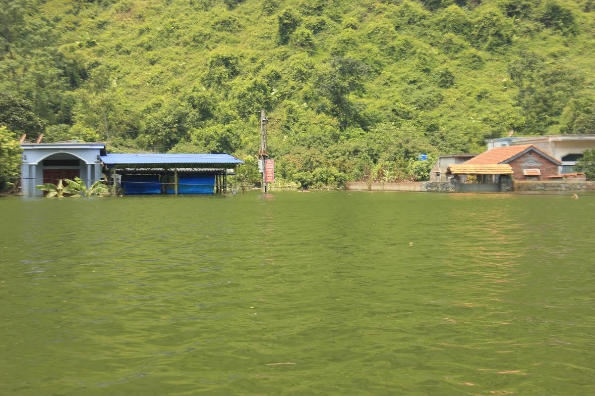 Hai Phong: Nang do lua, Viet Hai van khon kho vi ngap lut-Hinh-2