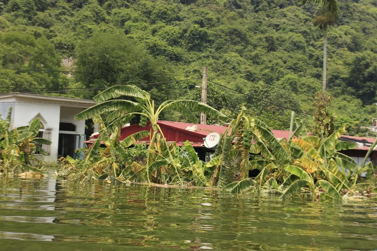 Hai Phong: Nang do lua, Viet Hai van khon kho vi ngap lut-Hinh-3