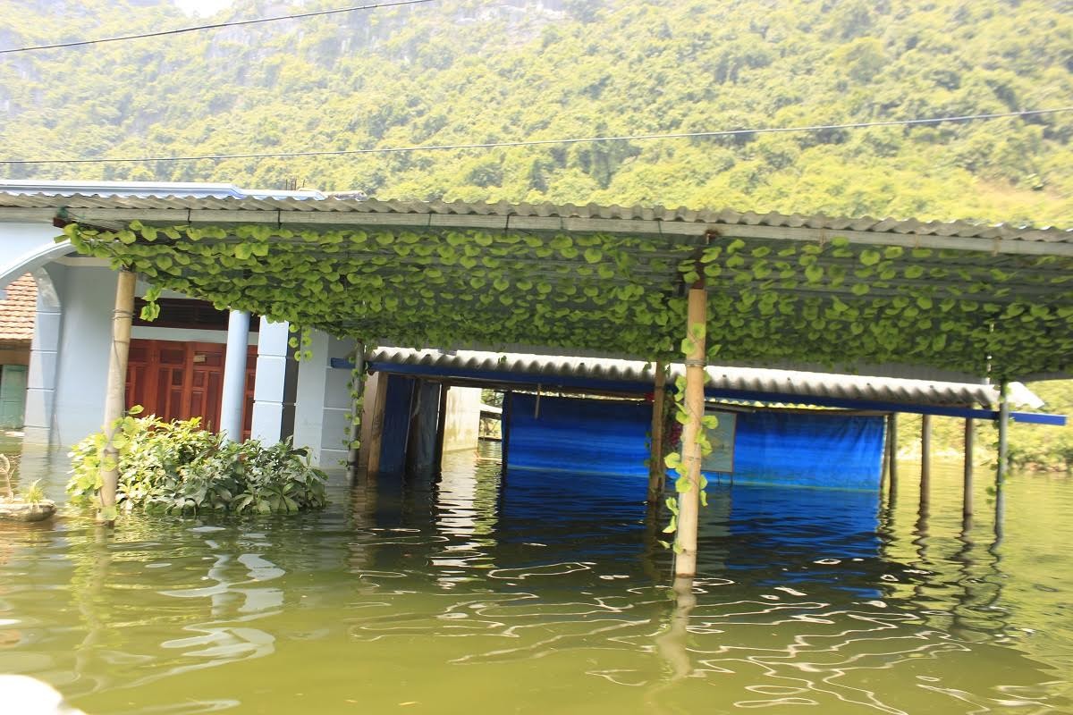 Hai Phong: Nang do lua, Viet Hai van khon kho vi ngap lut-Hinh-4