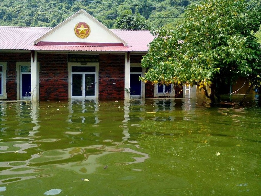 Hai Phong: Nang do lua, Viet Hai van khon kho vi ngap lut-Hinh-5