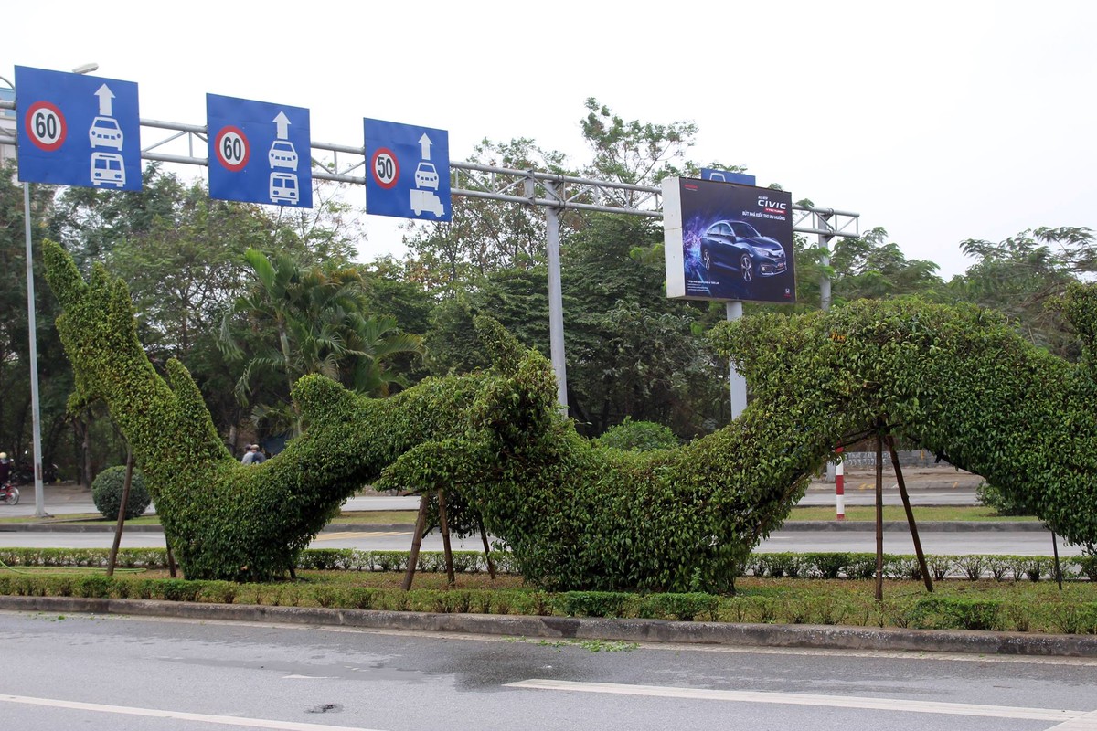 Anh: Con rong Hai Phong 