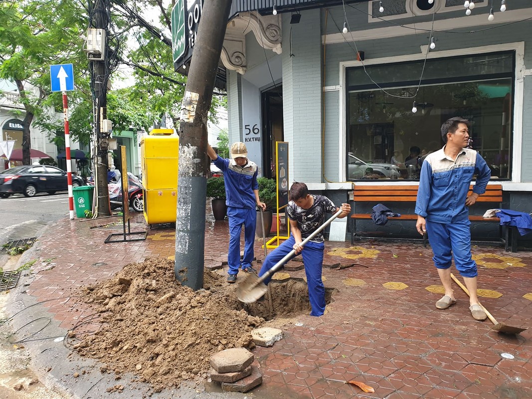 Anh huong bao so 3: Hai Duong ngap lut, Hai Phong bat goc cay xanh-Hinh-38