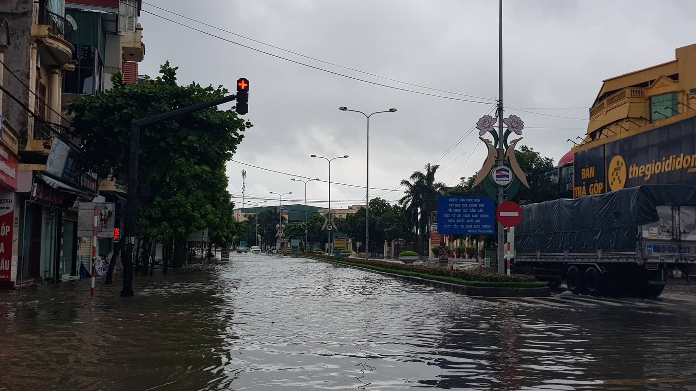 Anh huong bao so 3: Hai Duong ngap lut, Hai Phong bat goc cay xanh-Hinh-11