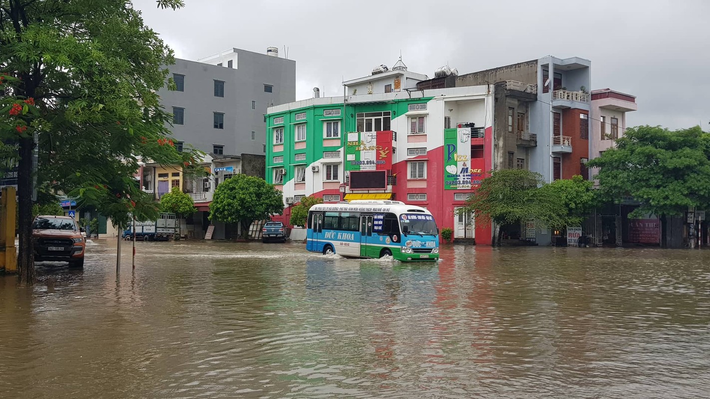 Anh huong bao so 3: Hai Duong ngap lut, Hai Phong bat goc cay xanh-Hinh-14